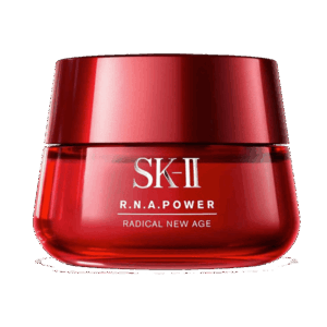 Suspendisse dictum nibh quis neque